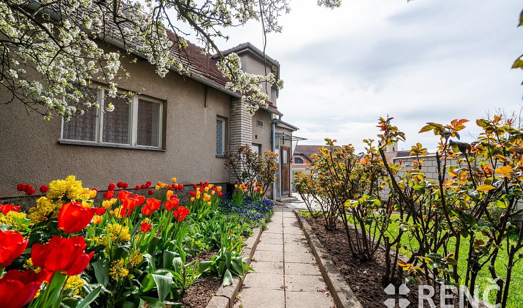 Prodej domu 103 m² s pozemkem 457 m², Říčany – náhled fotky 4