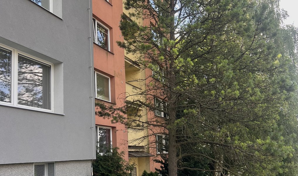 Prodej bytu 1+1 37 m², Frýdek-Místek – náhled fotky 5