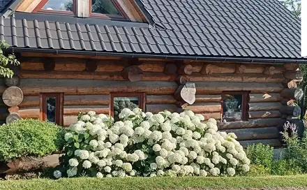 Prodej domu 150 m² s pozemkem 1 354 m², Lešná - Perná, okres Vsetín