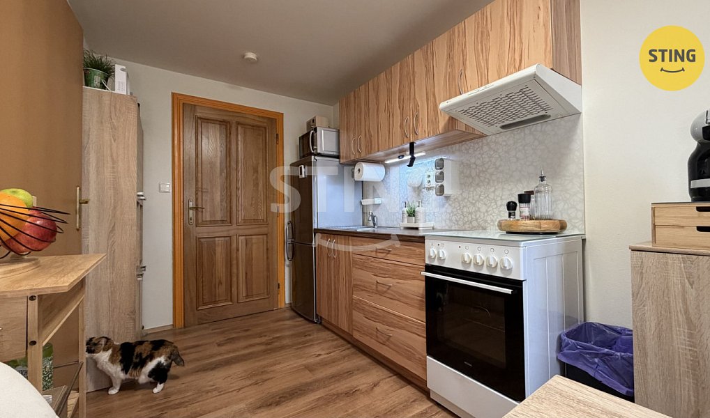 Pronájem bytu 1+1 30 m², Rýmařov – náhled fotky 2