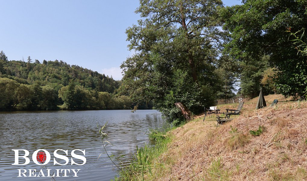 Prodej komerčního pozemku 15 862 m², Slabce – náhled fotky 10