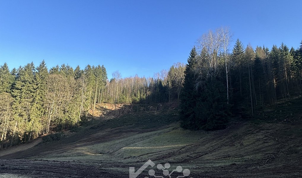 Prodej louky 15 029 m², Bozkov – náhled fotky 10