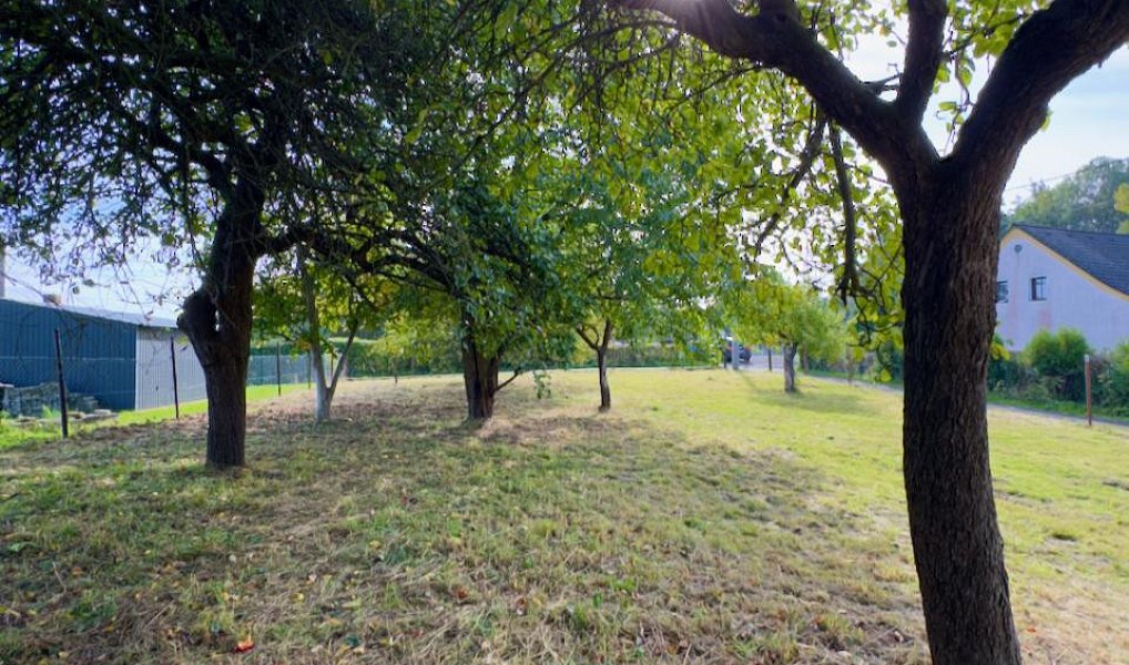 Prodej stavebního pozemku 744 m², Horní Police – náhled fotky 7