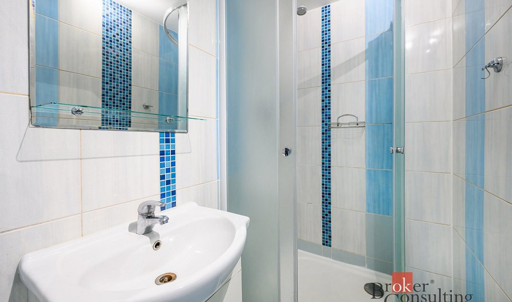 Prodej bytu 1+1 39 m², Plzeň – náhled fotky 5