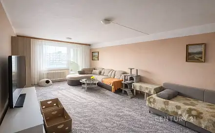 Prodej bytu 1+1 45 m²