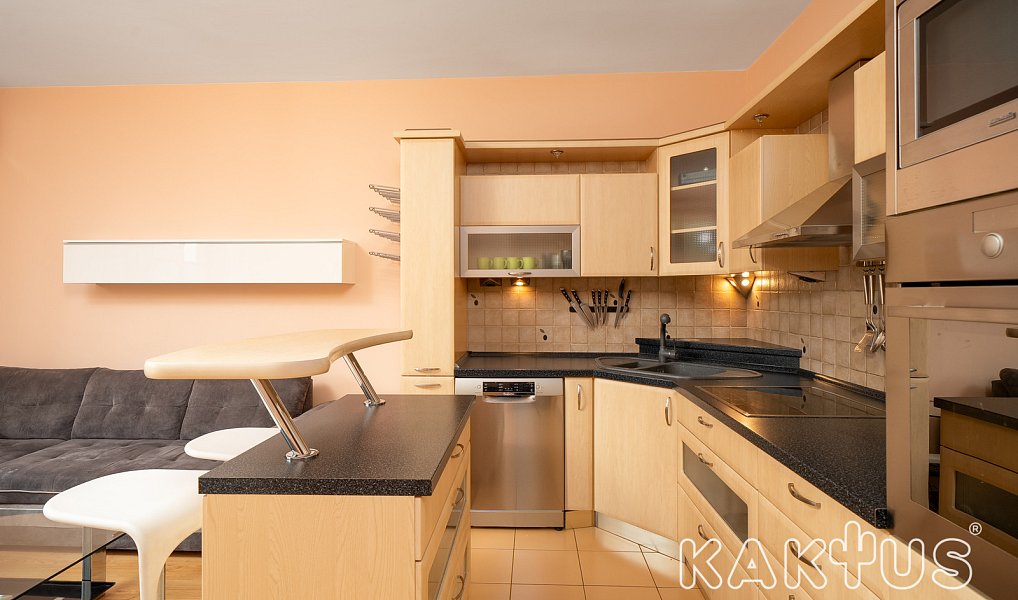 Pronájem bytu 2+kk 46 m², Čeladná – náhled fotky 2