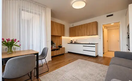 Pronájem bytu 1+kk 35 m²