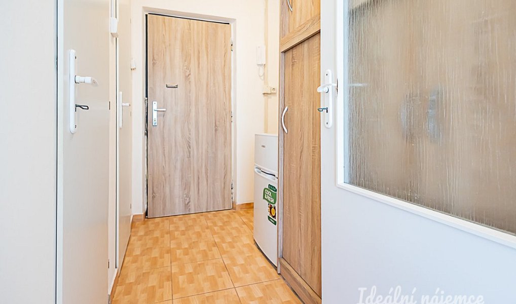 Pronájem bytu 1+kk 33 m², Praha – náhled fotky 6