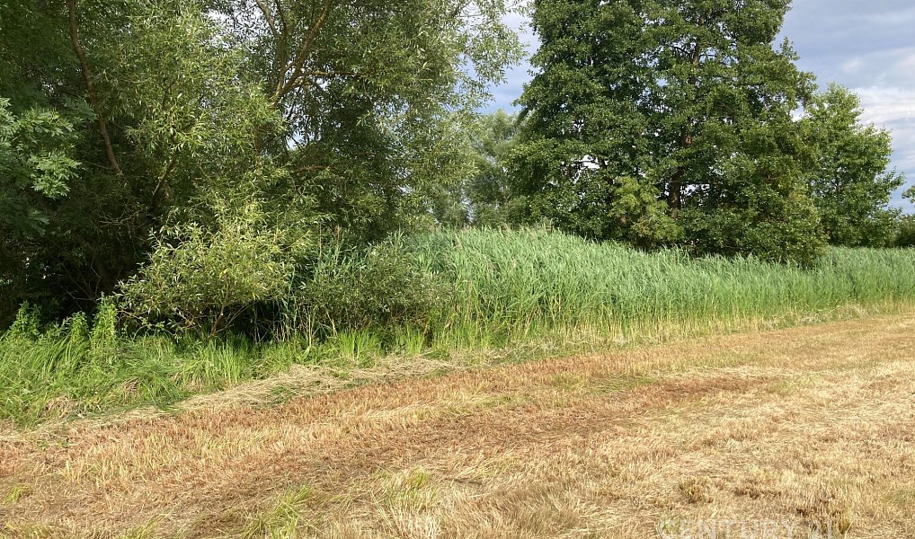 Prodej pozemku 438 m², Staňkovice – náhled fotky 3