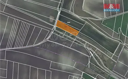 Prodej lesa 1 499 m², Koštice, okres Louny