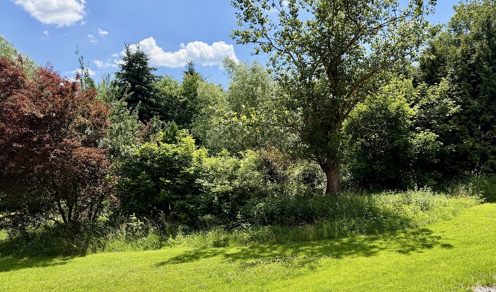 Prodej zemědělského objektu 421 m², Týnec nad Sázavou – náhled fotky 34