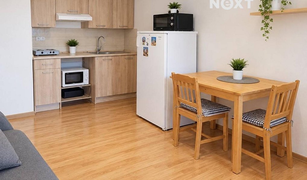 Pronájem bytu 1+kk 30 m², Ostrava – náhled fotky 3