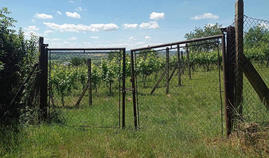 Prodej komerčního pozemku 3 460 m², Mikulov – náhled fotky 3