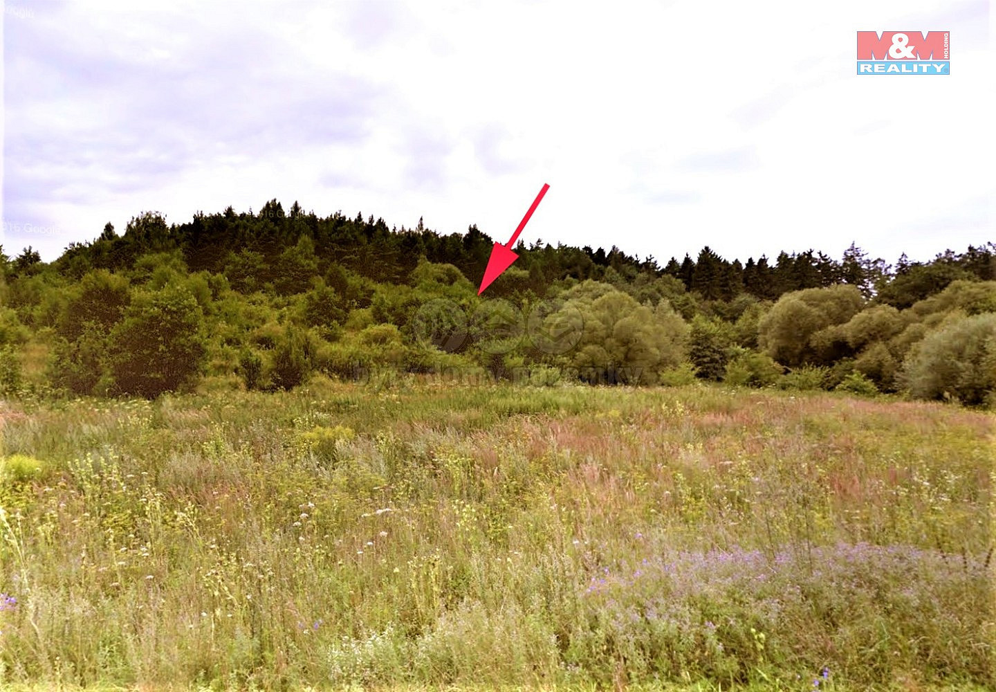 Prodej louky 4 420 m² — photo 4
