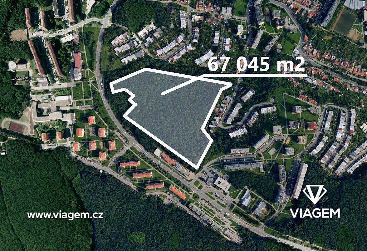 Prodej lesa 4 190 m²