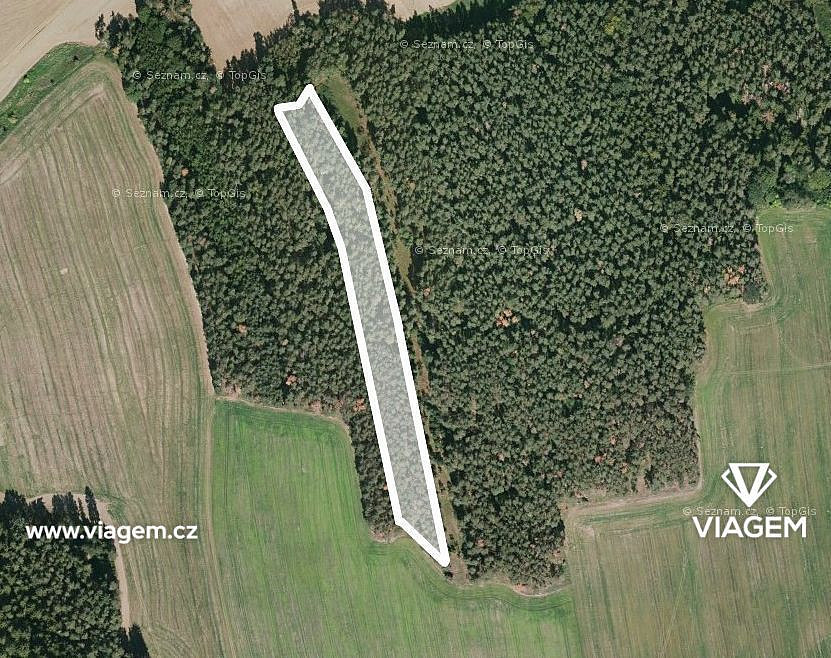 Les 6 930 m², Podíl 29 % o výměře 2 021 m² – pohled 2