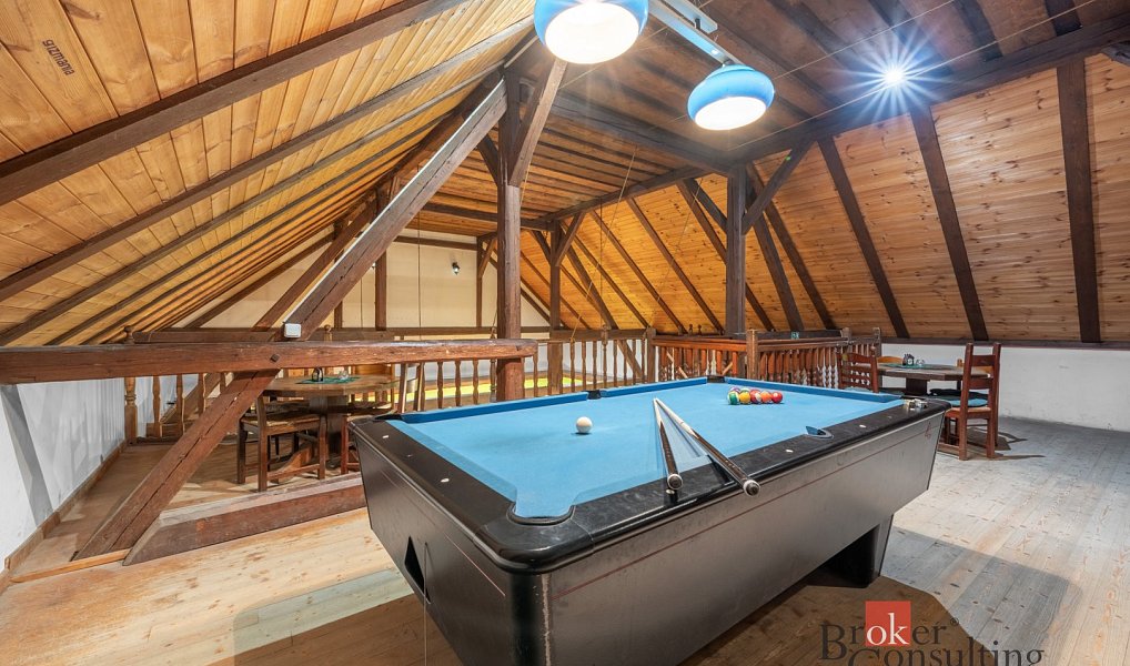 Prodej domu 688 m² s pozemkem 860 m², Luka nad Jihlavou – náhled fotky 5