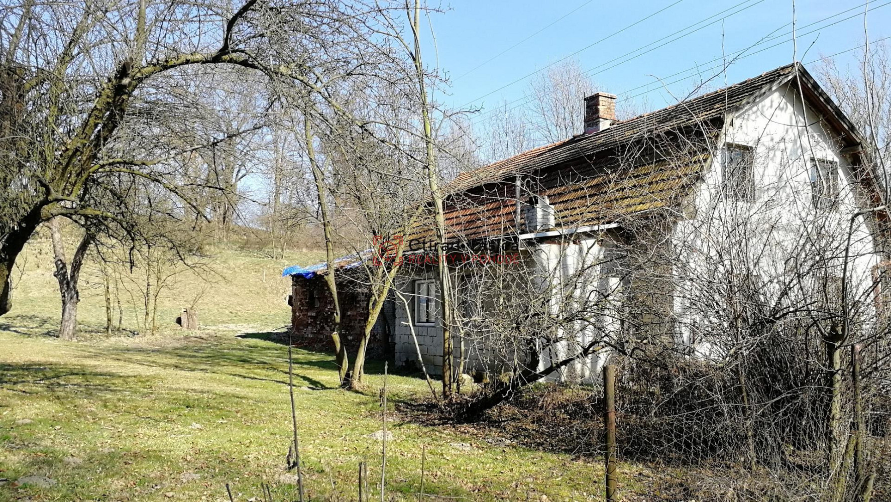 Prodej domu 200 m² s pozemkem 3 700 m² – fotografie 4