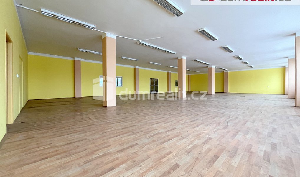 Pronájem obchodních prostor 55 m², České Budějovice – náhled fotky 13