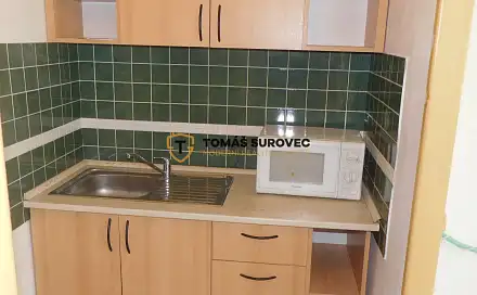 Pronájem bytu 1+kk 19 m², Štefánikova, Zlín