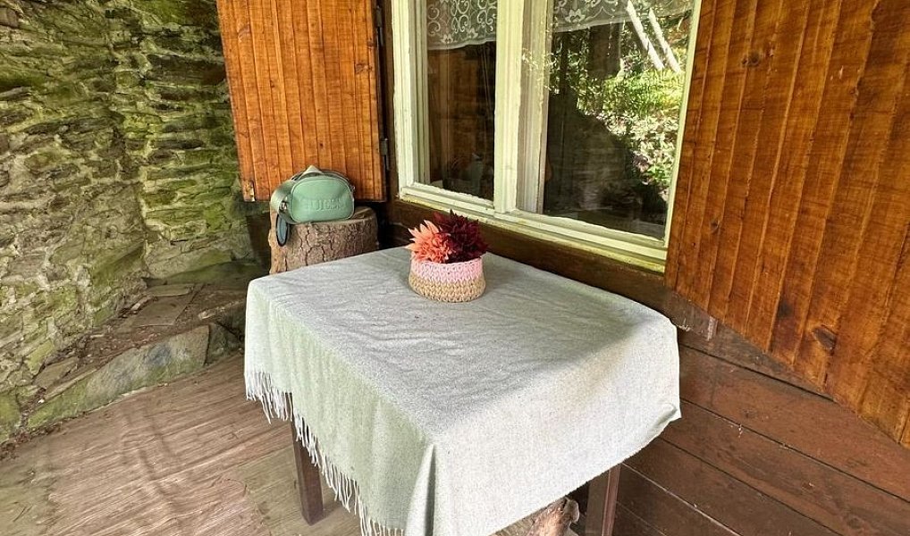 Prodej chaty/chalupy 26 m² s pozemkem 26 m², Plasy – náhled fotky 10