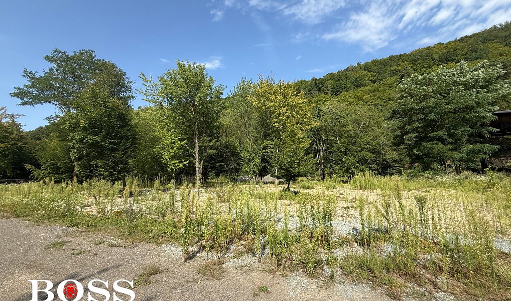 Prodej komerčního pozemku 15 862 m², Slabce – náhled fotky 27