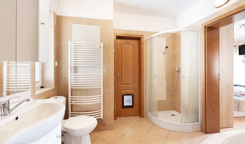 Prodej komerčního objektu (jiného typu) 956 m², Miřetice – náhled fotky 19