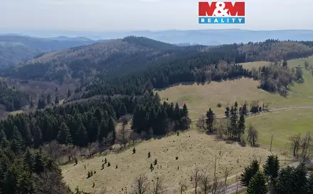 Prodej lesa 18 821 m², Měděnec - Mýtinka, okres Chomutov