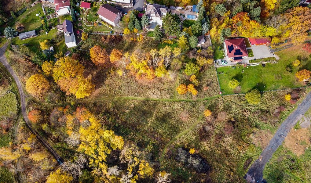 Prodej stavebního pozemku 6 468 m², Košťany – náhled fotky 17