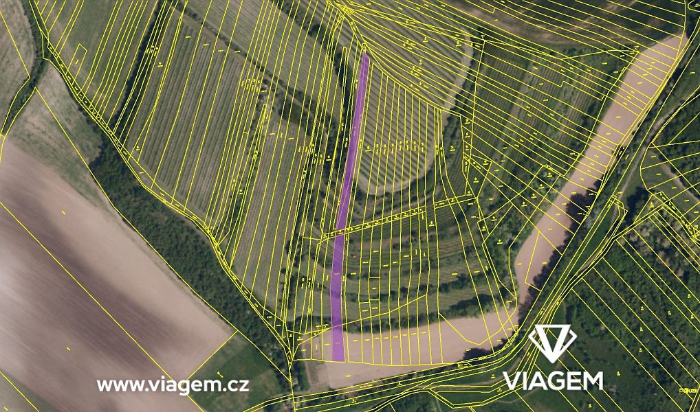Prodej pole 711 m², Uherčice – náhled fotky 4