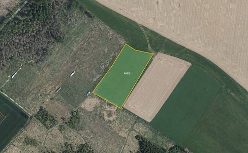 Prodej pole 17 687 m², Černá, okres Žďár nad Sázavou