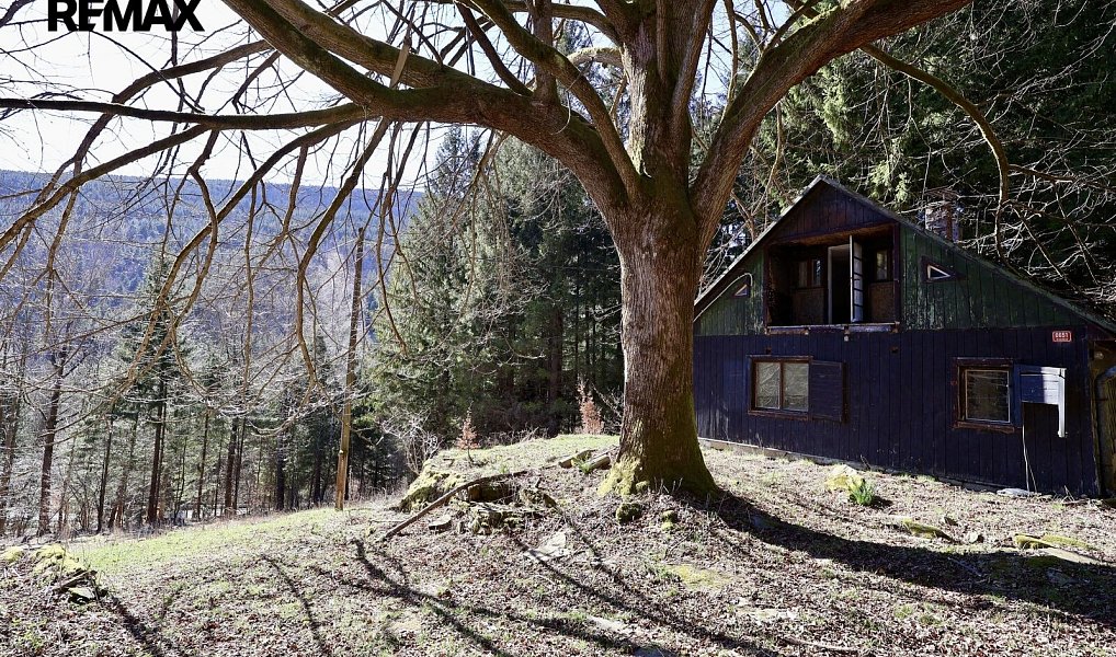Prodej chaty/chalupy 180 m² s pozemkem 7 880 m², Morávka – náhled fotky 4