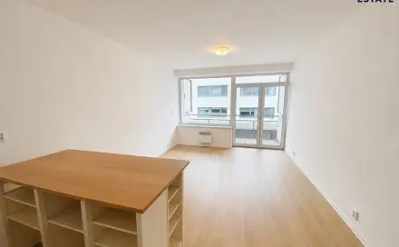 Pronájem bytu 1+kk 41 m², Vídeňská, Brno - Štýřice