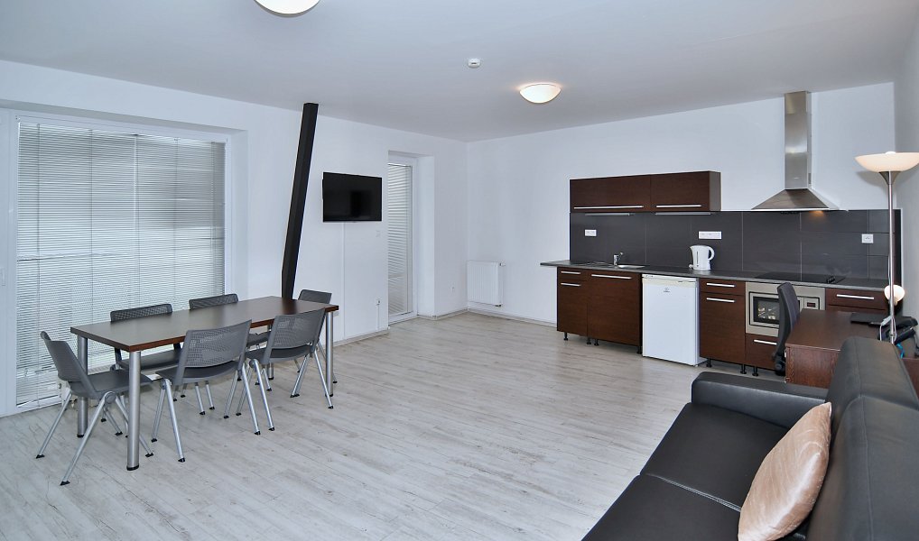 Pronájem bytu 3+kk 162 m², Brno – náhled fotky 10
