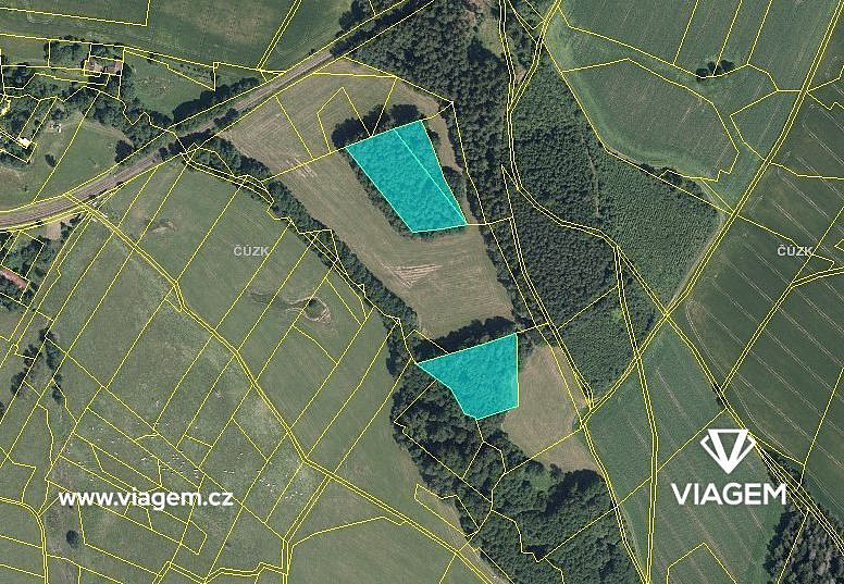 Prodej lesa 2 849 m² – fotografie 3