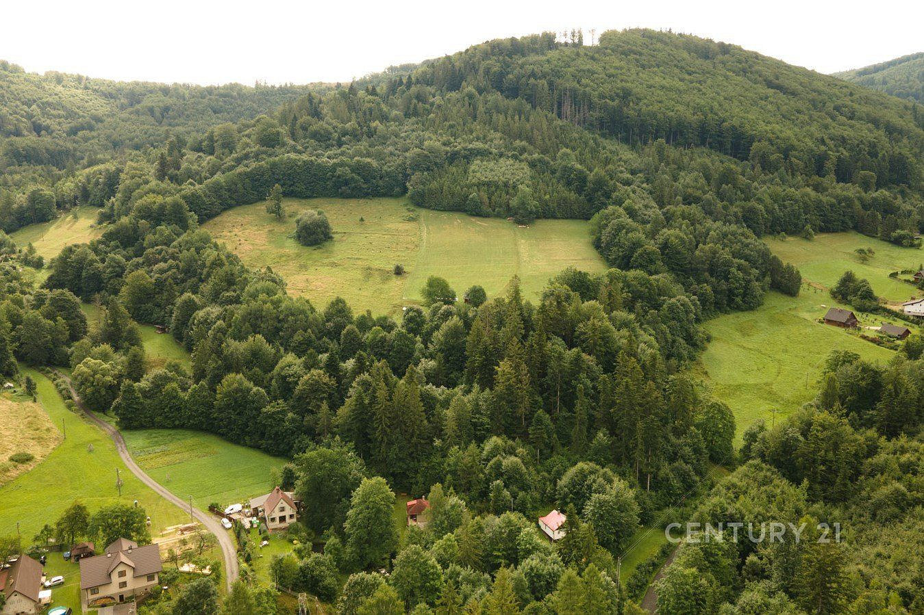 Prodej lesa 20 397 m² — photo 4