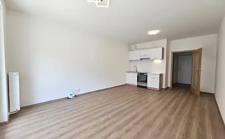 Pronájem bytu 1+kk 33 m², Praha 3 - Vysočany