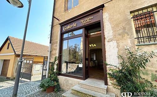 Pronájem obchodních prostor, Ptačí ryneček, Kouřim, okres Kolín