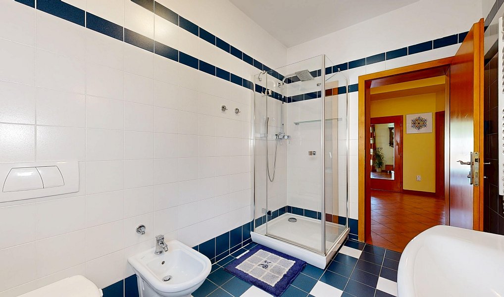 Prodej domu 220 m² s pozemkem 810 m², Brno – náhled fotky 26