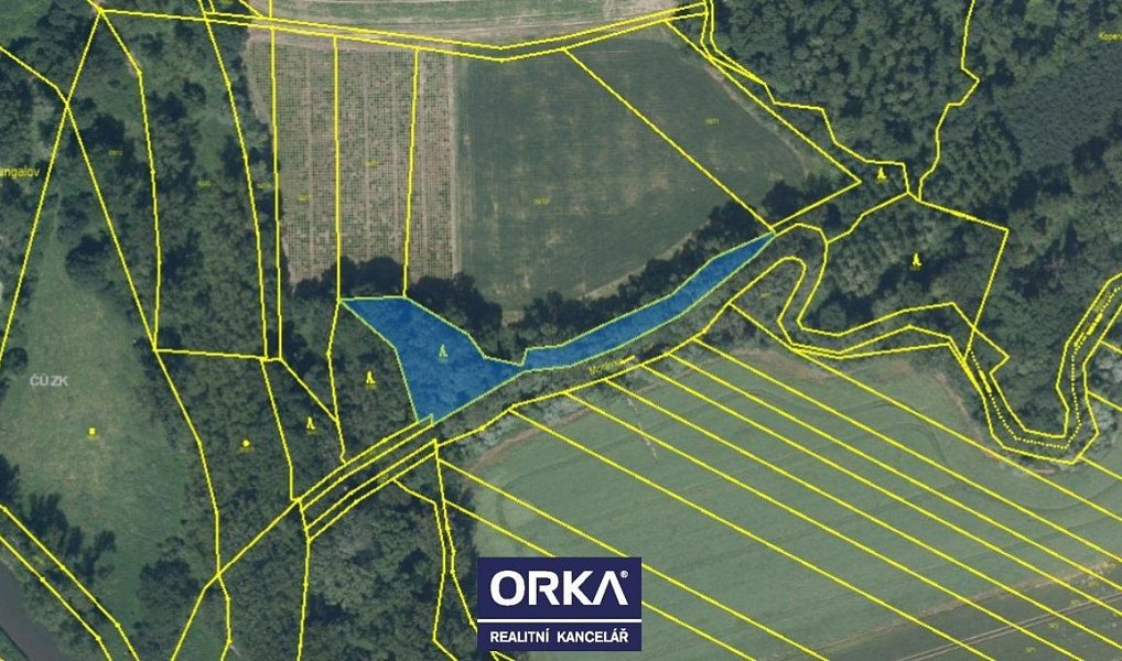 Prodej lesa 82 866 m², Tovačov – náhled fotky 2