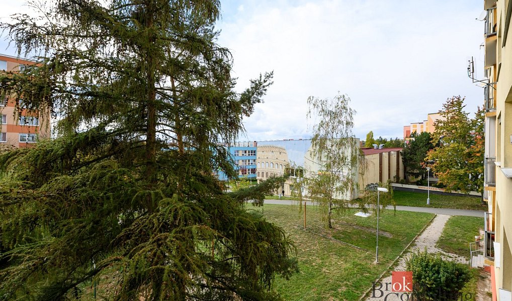 Pronájem bytu 2+1 60 m², Plzeň – náhled fotky 10