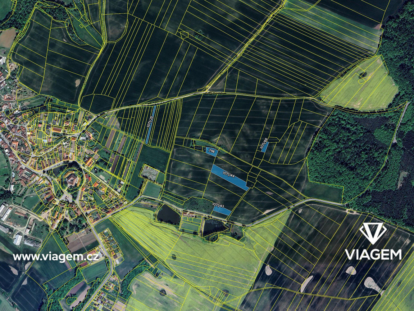 Prodej pole 1 197 m² – fotografie 4