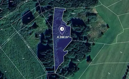 Prodej louky 4 244 m², Čechtice, okres Benešov