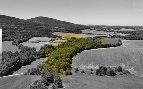 Prodej lesa 29 772 m², Horní Stropnice, okres České Budějovice