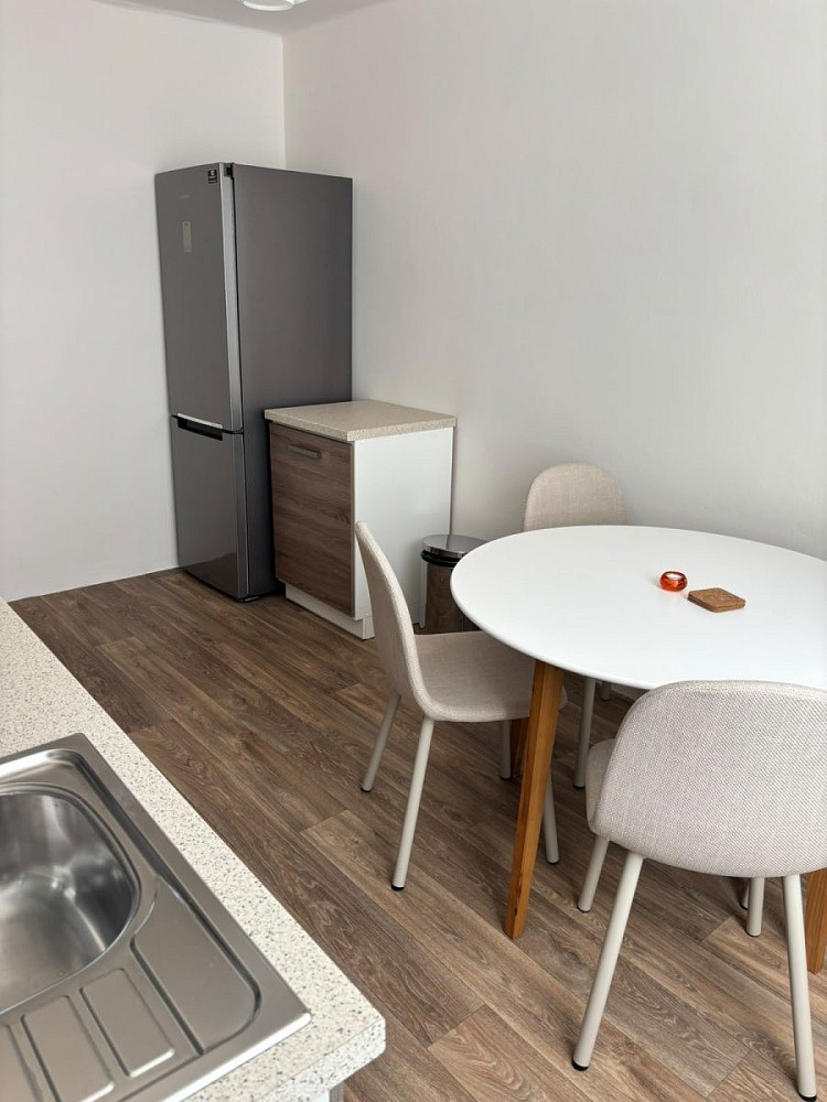 Pronájem bytu 2+1 51 m² — photo 3