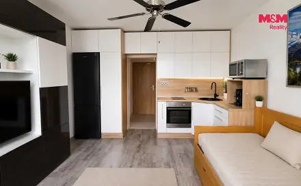 Prodej bytu 1+kk 20 m², Krakovská, Ostrava - Hrabůvka