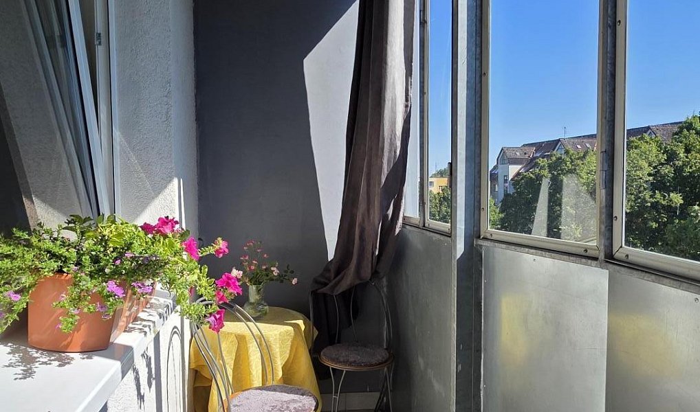 Prodej bytu 2+1 55 m², Brno – náhled fotky 3