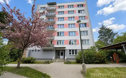 Prodej bytu 3+1 63 m², Sokolovská, Tábor