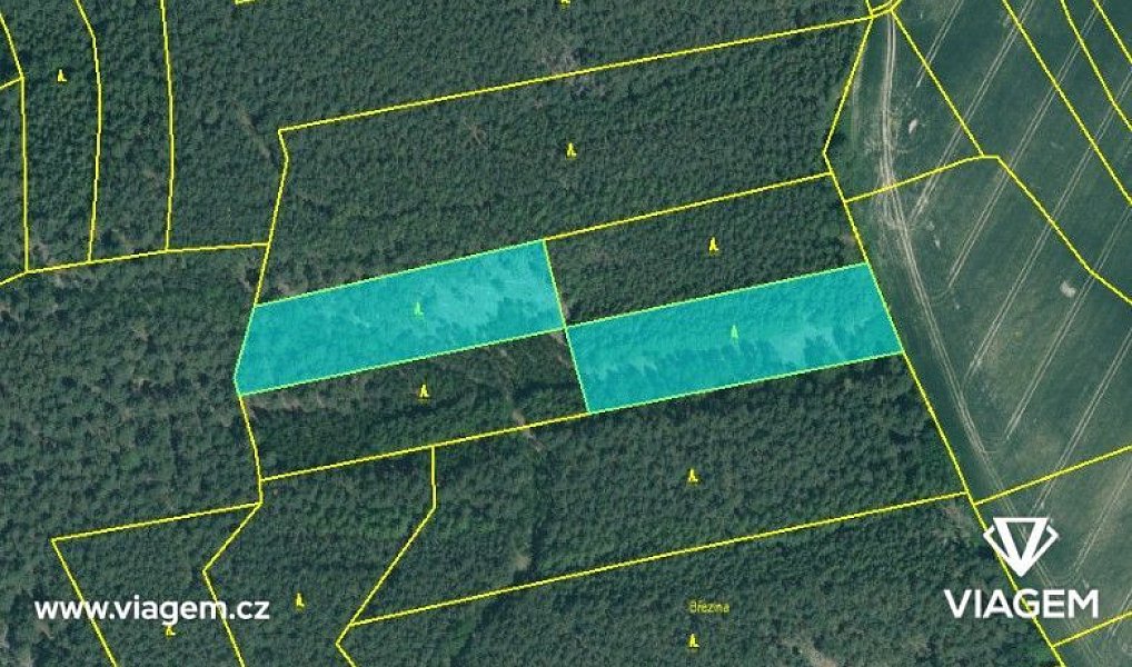 Prodej lesa 4 219 m², Manětín – náhled fotky 3