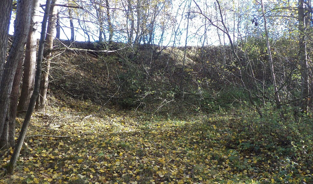 Prodej pozemku 2 102 m², Římov – náhled fotky 9